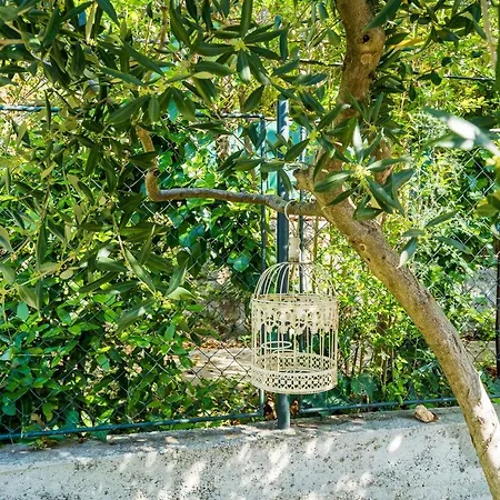 公寓 燕窝公寓 *