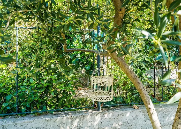 Apartamento Swallow's Nest *